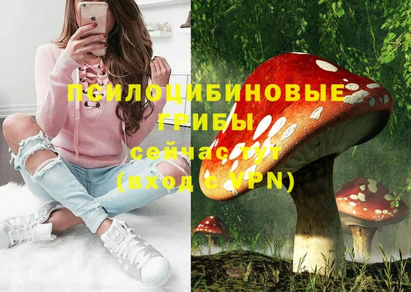 первитин Верхний Тагил