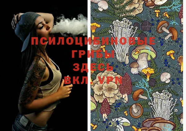 ПСИЛОЦИБИНОВЫЕ ГРИБЫ Володарск