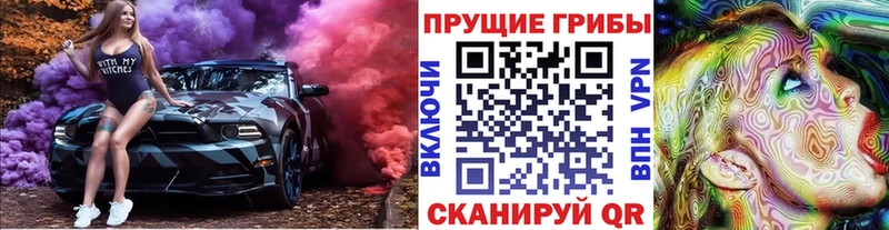 Галлюциногенные грибы GOLDEN TEACHER  наркота  Волоколамск 